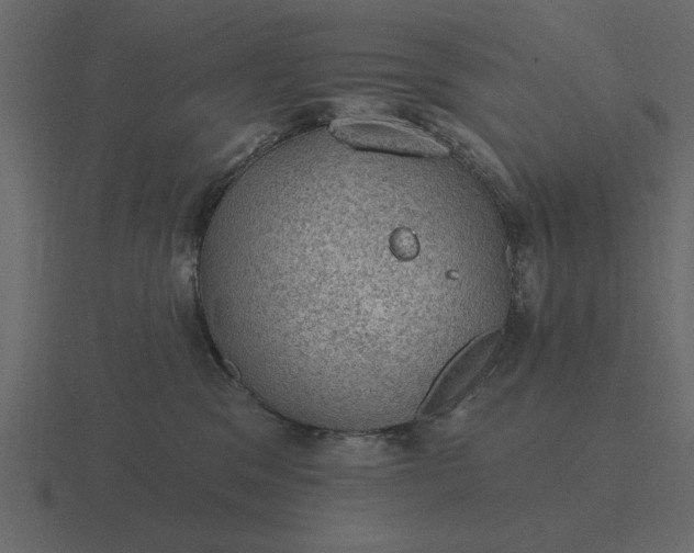 X0000116610329200912241738