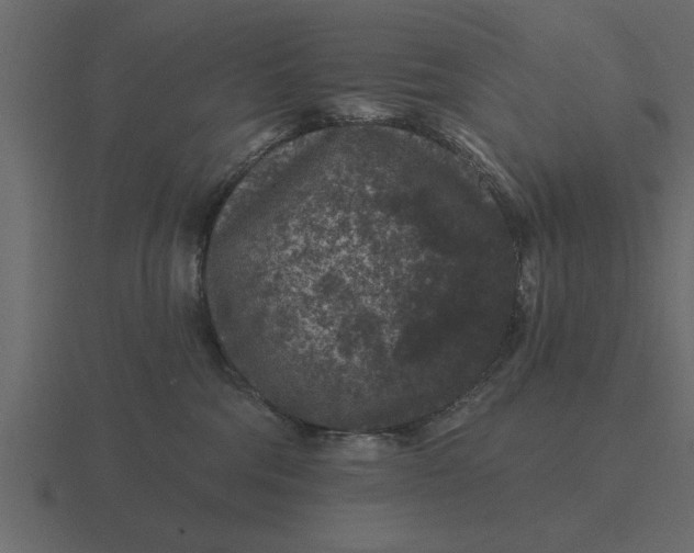 X0000116610330200912241738