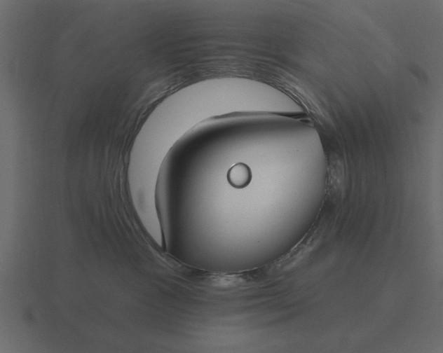 X0000116610333200912241738