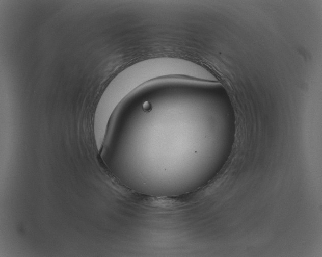 X0000116610336200912241738