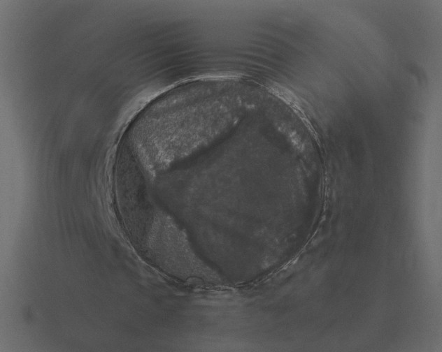 X0000116610337200912241737