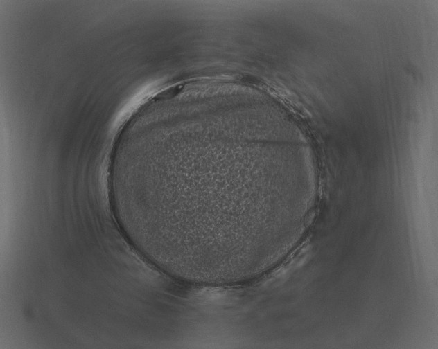 X0000116610341200912241737