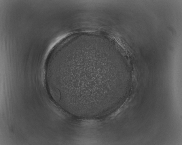 X0000116610342200912241737