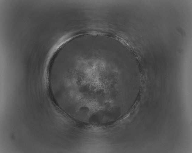 X0000116610343200912241737