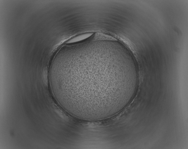 X0000116610345200912241737