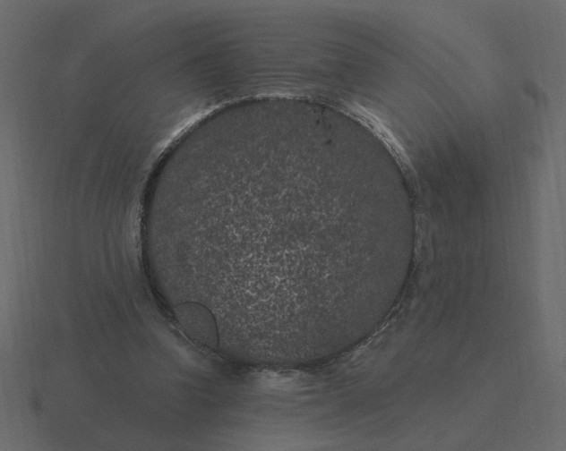 X0000116610346200912241737