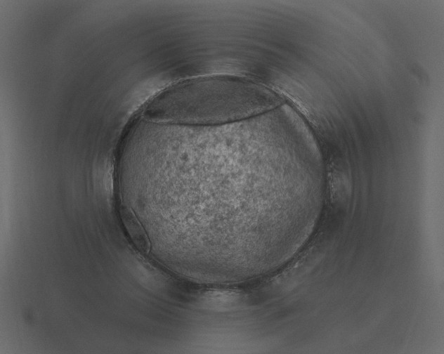 X0000116610350200912241737