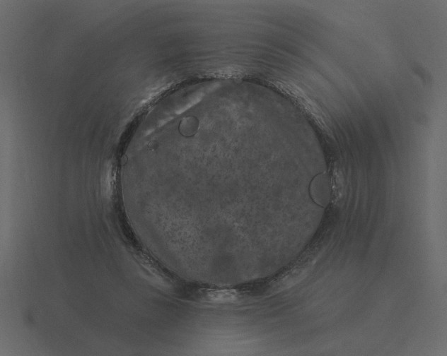 X0000116610355200912241738