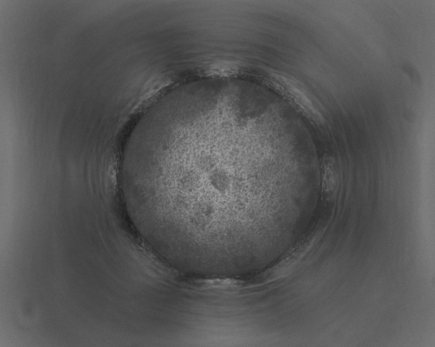 X0000116610363200912241738