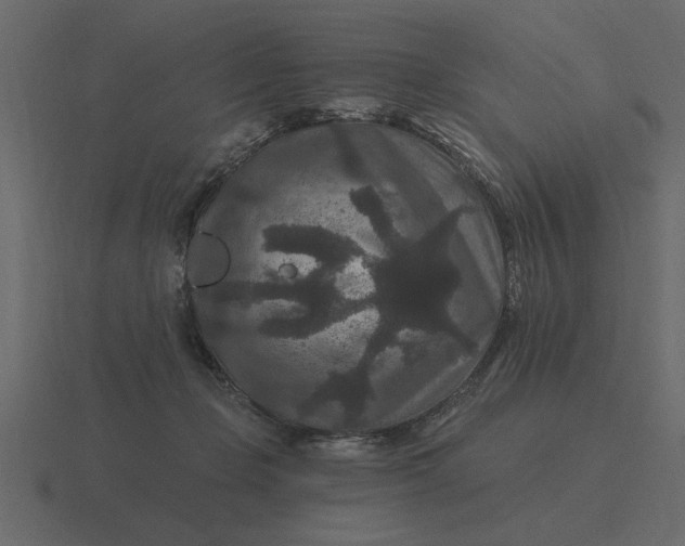 X0000116610365200912241738