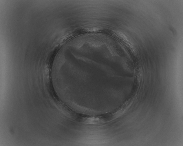 X0000116610366200912241738