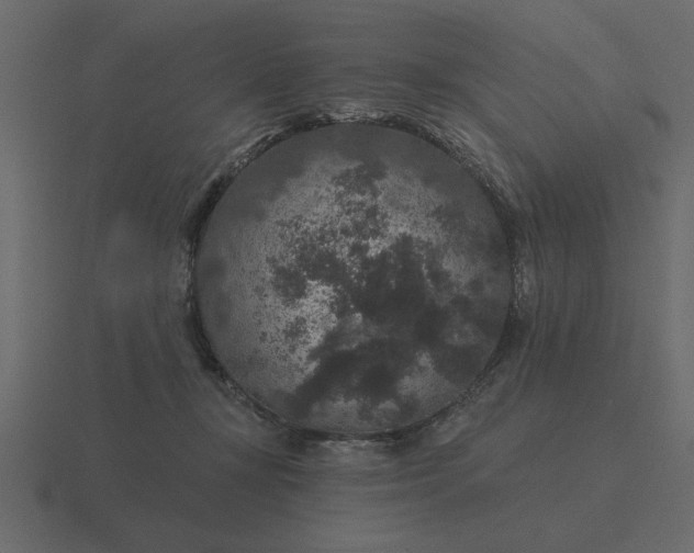 X0000116610367200912241738