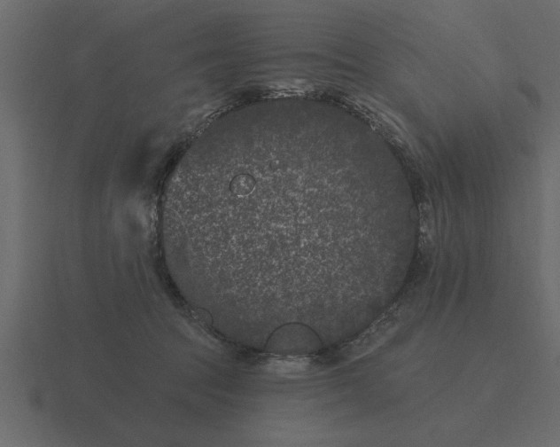 X0000116610369200912241738