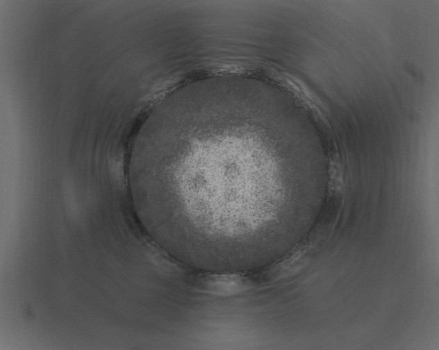 X0000116610377200912241738