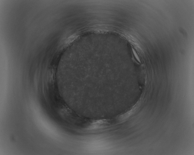 X0000116610382200912241738