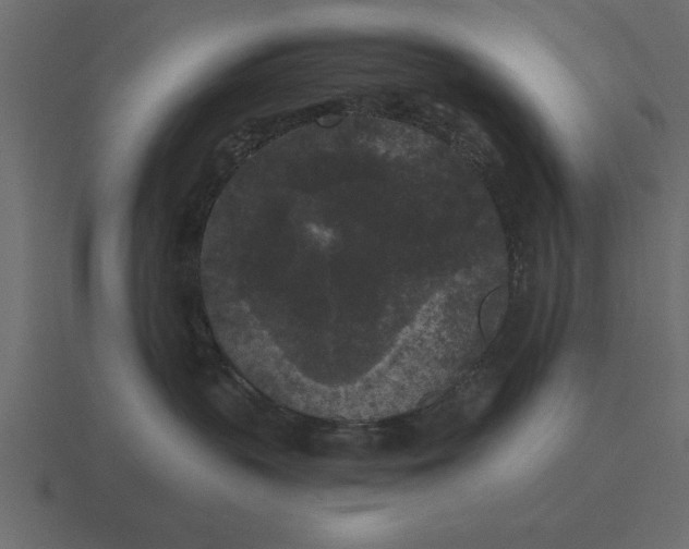 X0000116610383200912241738