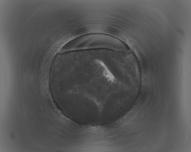 X0000116610385200912241737