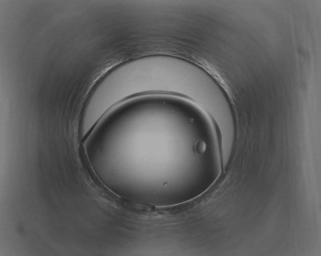 X0000116610386200912241737