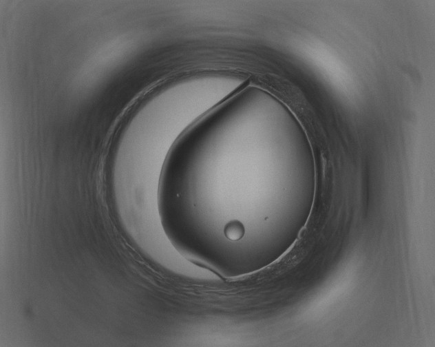 X0000116610387200912241737