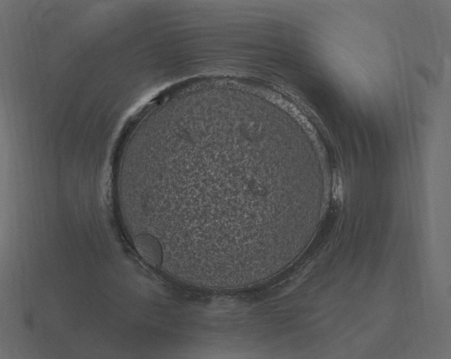 X0000116610388200912241737