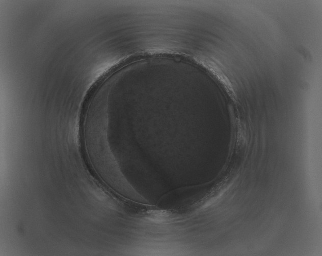 X0000116610391200912241737