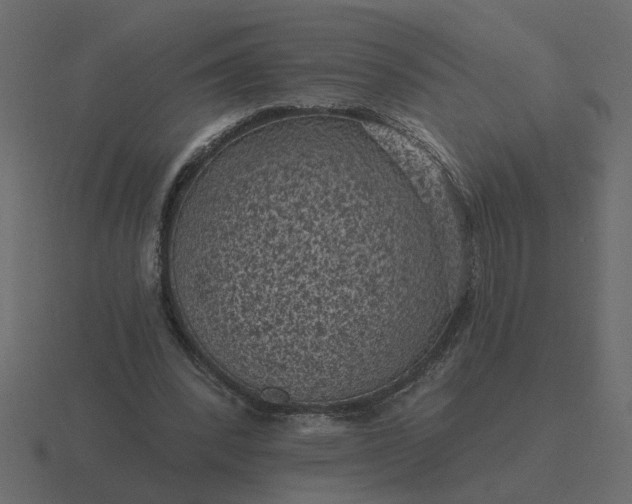 X0000116610392200912241737