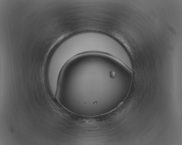 X0000116610395200912241737