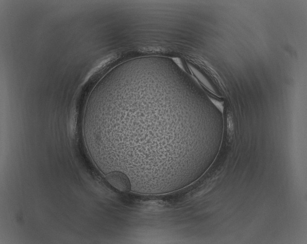 X0000116610396200912241737