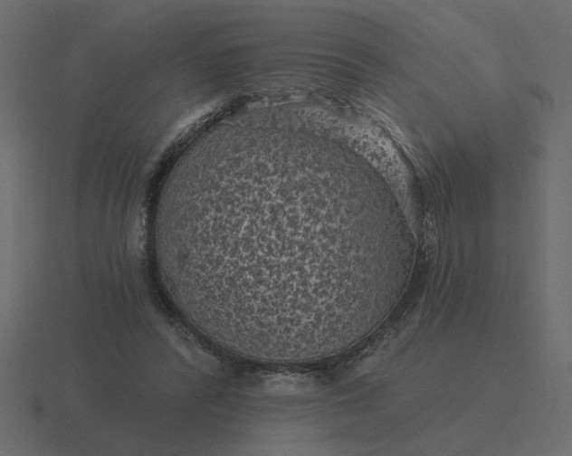 X0000116610400200912241737