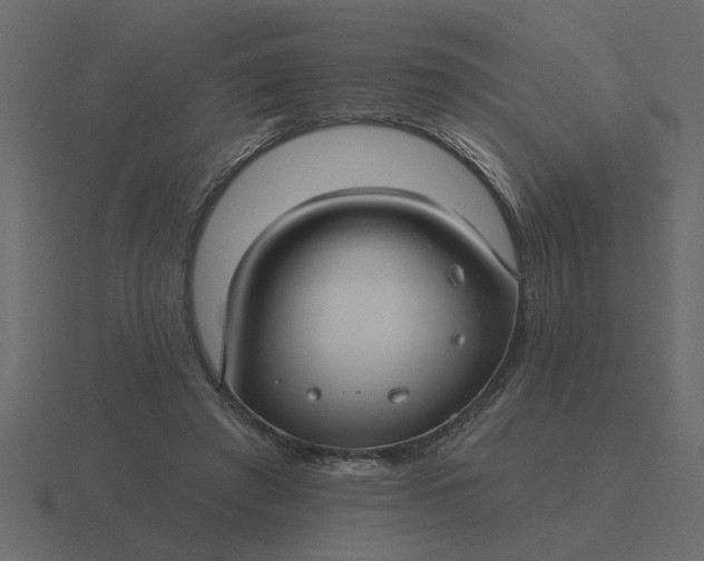 X0000116610401200912241737