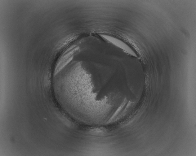 X0000116610402200912241737