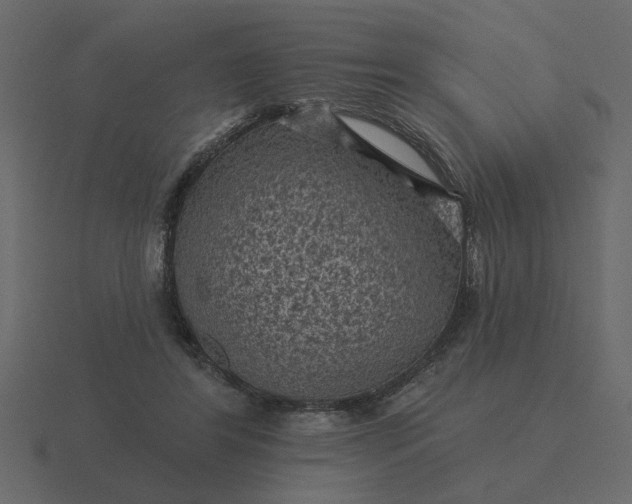 X0000116610404200912241737