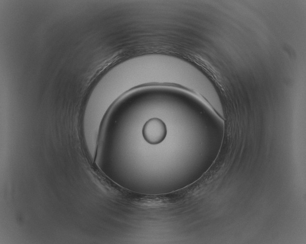 X0000116610405200912241737