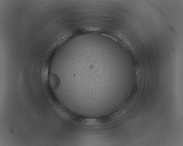 X0000116610406200912241737