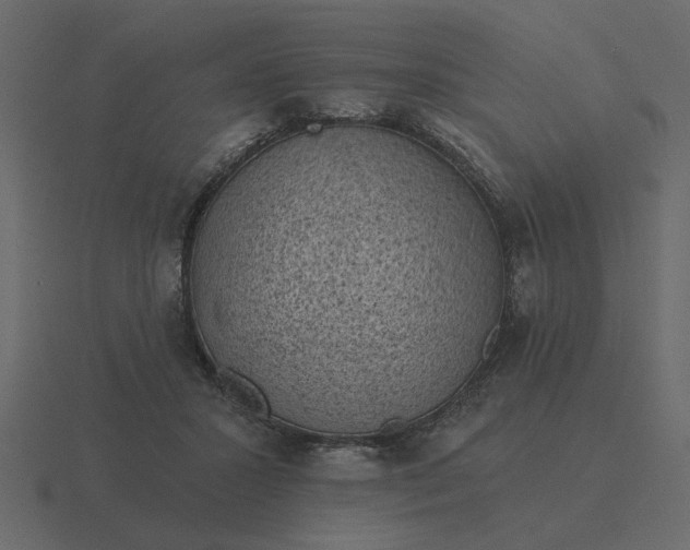 X0000116610407200912241737