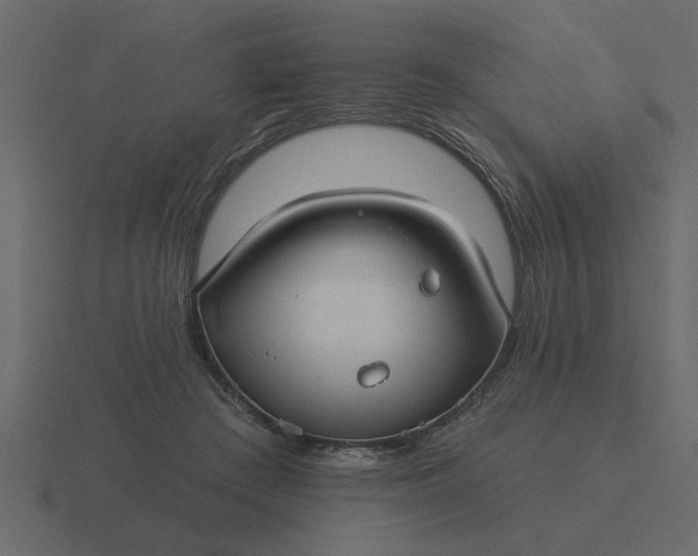 X0000116610409200912241737