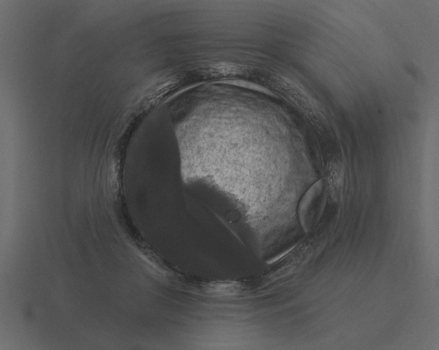 X0000116610410200912241737