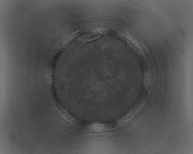 X0000116610413200912241737