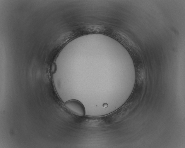 X0000116610414200912241737