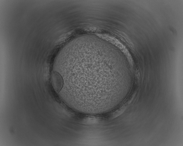 X0000116610416200912241737