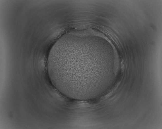 X0000116610424200912241737