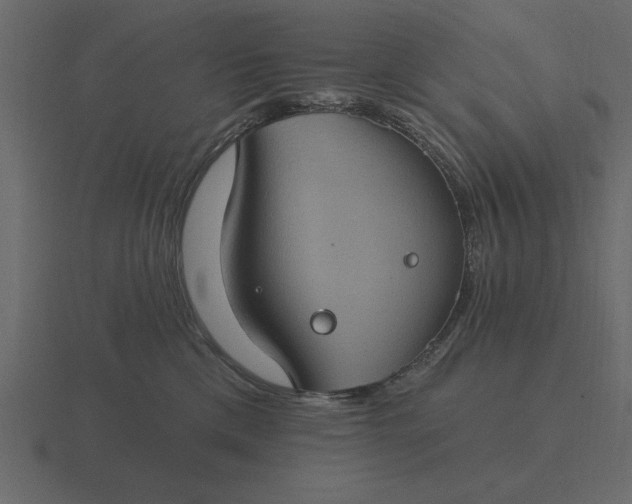 X0000116610425200912241737