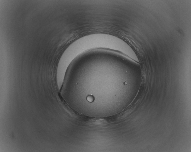 X0000116610427200912241737