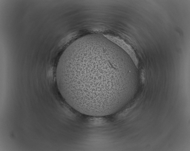 X0000116610428200912241737