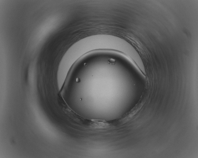 X0000116610429200912241737