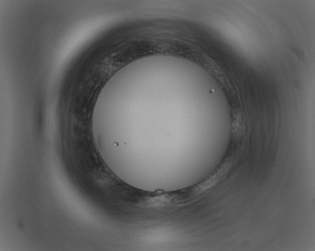 X0000116610430200912241737