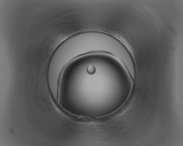 X0000116610433200912241736