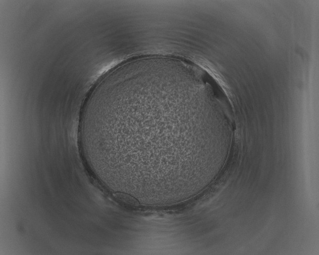 X0000116610434200912241736