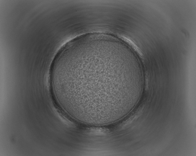 X0000116610439200912241736