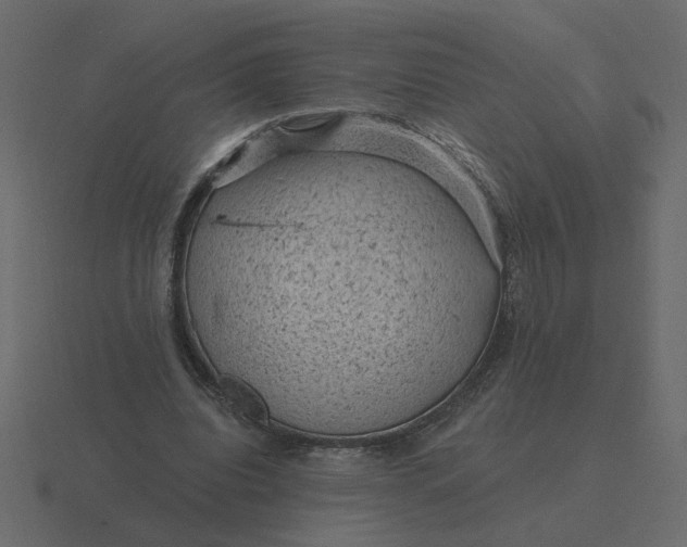 X0000116610440200912241736